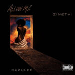 Zineth - Allow Mi || Vistaloaded